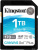 Карта памяти Kingston Canvas Go! Plus SDXC 1TB Карта памяти Kingston Canvas Go! Plus SDXC 1TB