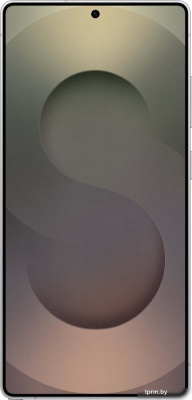 Смартфон Samsung Galaxy S25 Ultra SM-S938B 12GB/256GB (серебряный титан) 