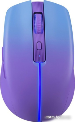 Мышь Defender Mystery MM-301 