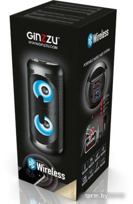 Колонка для вечеринок Ginzzu GM-210 