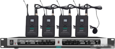 Радиосистема DSPPA D5842 