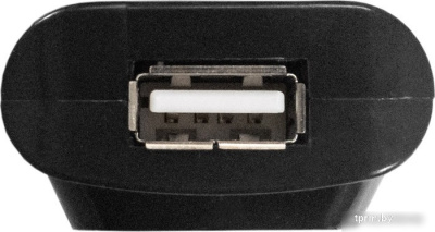 ExeGate DUB-42 EX293976RUS 