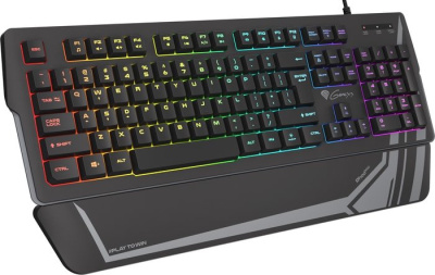 Клавиатура Genesis Rhod 350 RGB 