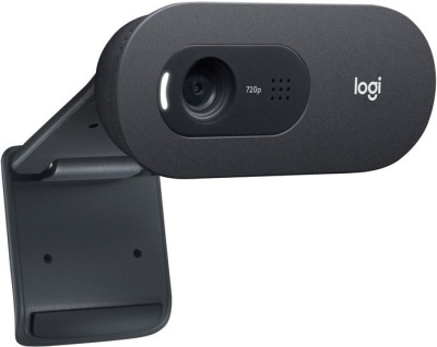 Веб-камера Logitech C505 
