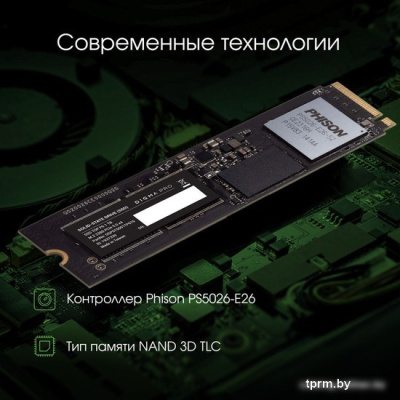 SSD Digma Pro Top P6 2TB DGPST5002TP6T4 