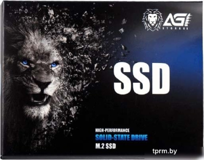 SSD AGI AI198 256GB AGI256G66AI198 