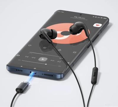 Наушники Xiaomi Type-C Earphones M2413E1 (черный, международная версия) 