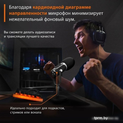 Проводной микрофон SunWind SW-SM500G 