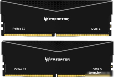 Оперативная память Acer Predator Pallas II 2x32ГБ DDR5 6400 МГц BL.9BWWR.438 