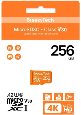 BreezyTech Ultra microSDXC Class 10/A2/V30 256GB (без адаптера) 