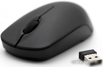 Мышь Ritmix RMW-506 