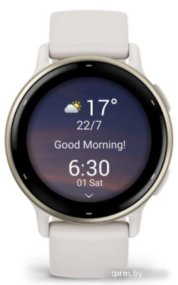 Умные часы Garmin Vivoactive 5 (слоновая кость) 