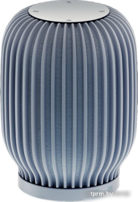 Умная колонка SberDevices SberBoom (лунный серый) 