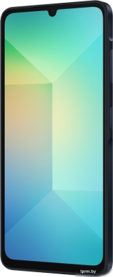Смартфон Samsung Galaxy A06 SM-A065F 4GB/64GB (черный) 