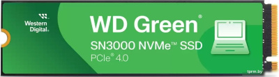 SSD WD Green SN3000 500GB WDS500G4G0E 