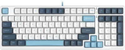 Клавиатура A4Tech Fstyler FS300 Panda Snowboarding 