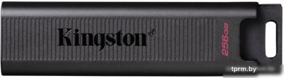 USB Flash Kingston DataTraveler Max 256GB 