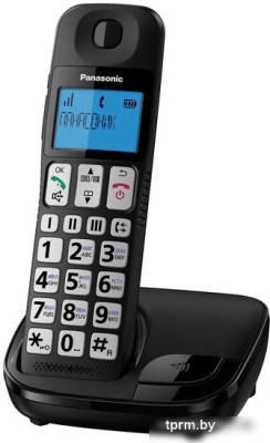 Panasonic KX-TGE110RUB 