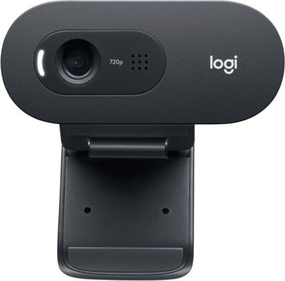 Веб-камера Logitech C505e 
