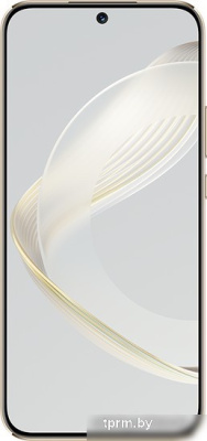 Смартфон Huawei nova 11 FOA-LX9 8GB/256GB (золотистый) 