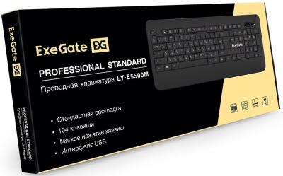 ExeGate Professional Standard LY-E5500M Color box 