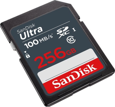 Карта памяти SanDisk Ultra SDXC SDSDUNR-256G-GN3IN 256GB 