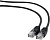 Кабель Cablexpert PP12-0.25M/BK 
