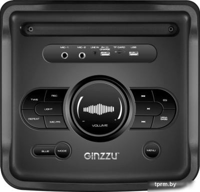 Колонка для вечеринок Ginzzu GM-205 