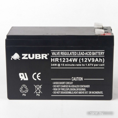 Zubr HR1234W 12V9Ah 
