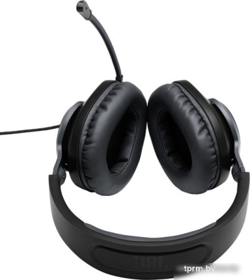 Наушники JBL Quantum 100 (черный) 