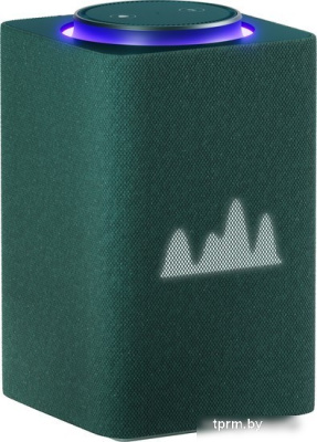 Умная колонка Яндекс Станция Макс (с хабом умного дома Zigbee, зеленый) 