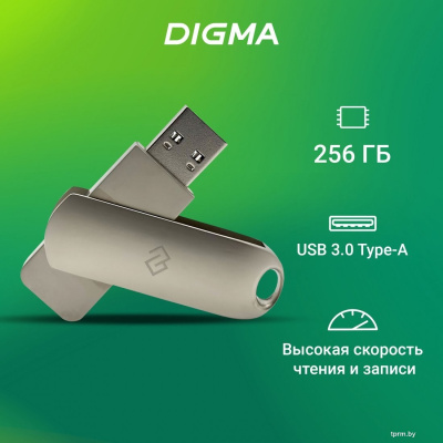 Digma Drive 3 256GB DGFUM256A30SR 