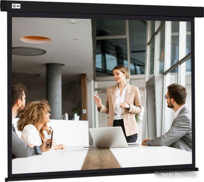 Проекционный экран CACTUS Wallscreen 168x299 CS-PSW-168X299-BK 