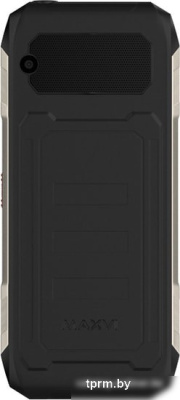 Мобильный телефон Maxvi T12 (черный) 