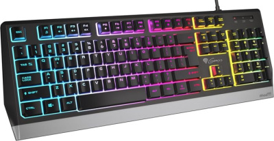 Клавиатура Genesis Rhod 300 RGB 