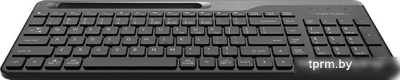 Клавиатура A4Tech Fstyler FBK25 (черный/серый) 