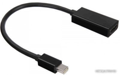 Адаптер ACD DisplayPort - Mini DisplayPort ACD-DAMHF-01B 