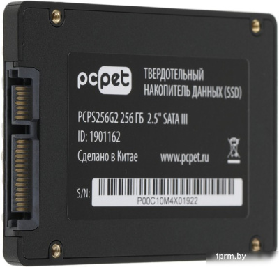 SSD PC Pet 256GB PCPS256G2 