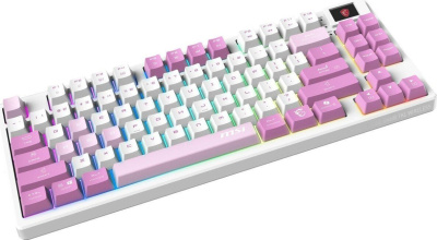 MSI Forge GK600 TKL Wireless Violet 