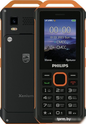 Кнопочный телефон Philips Xenium E2317 (желто-черный) 