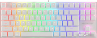 Клавиатура Genesis Thor 303 TKL RGB (белый, нет кириллицы) 