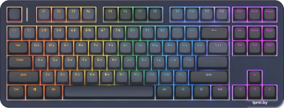 Red Square Alumix TKL Dark Matter (g3ms Sapphire) 
