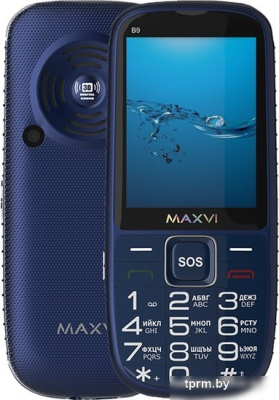 Мобильный телефон Maxvi B9 (синий) 