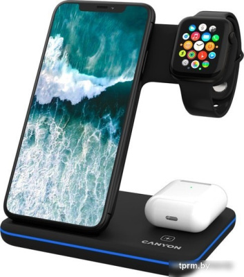 Canyon WS-303 (черный) 