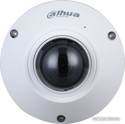 IP-камера Dahua DH-IPC-EB5541P-AS 