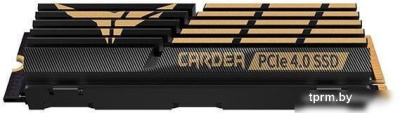 Team T-Force Cardea A440 1TB TM8FPZ001T0C327 
