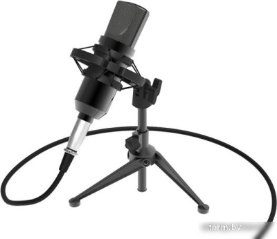 Ritmix RDM-160 