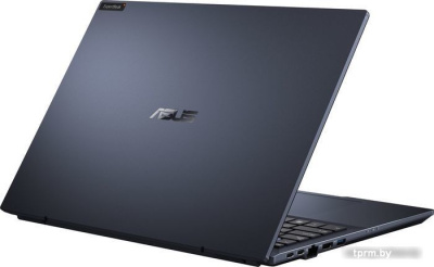 Ноутбук ASUS ExpertBook B5 OLED B5602CBA-L20378X 