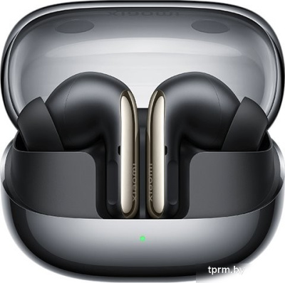 Наушники Xiaomi Buds 5 Pro Wi-Fi M2438E1 (черный, международная версия) 