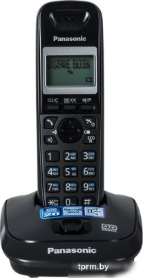 Радиотелефон Panasonic KX-TG2521 